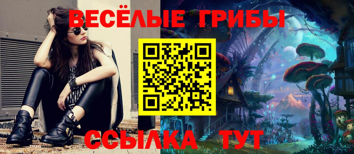 Магадан  Галлюциногенные грибы Magic Shrooms  Вход с VPN 