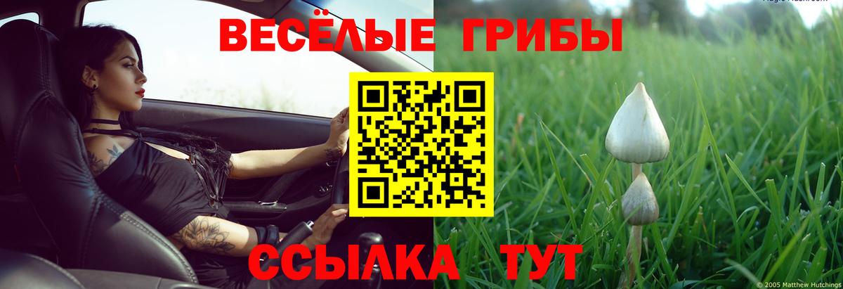 Псилоцибиновые грибы ЛСД Магадан